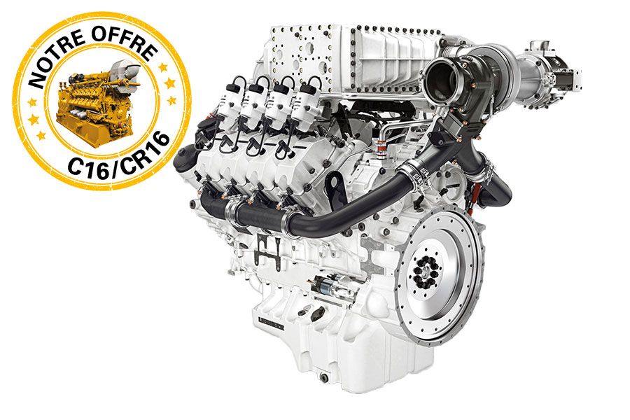 Gas generator sets - LG300