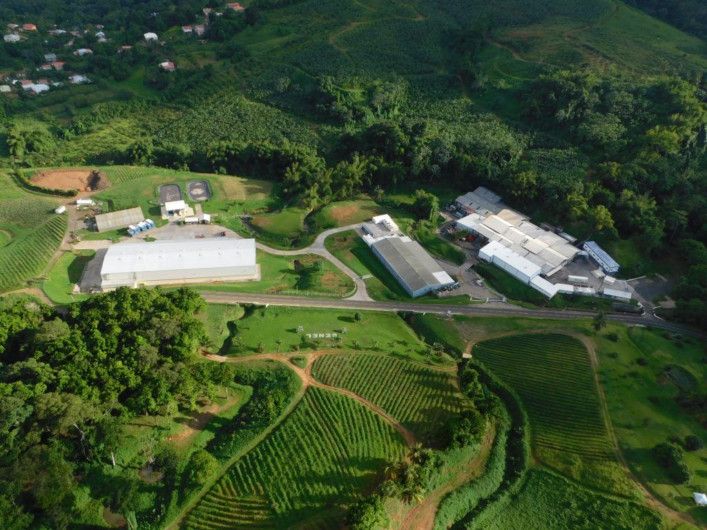 L’usine de l’entreprise DENEL renouvelle sa chaufferie grâce à Eneria